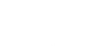 vazagui-logo
